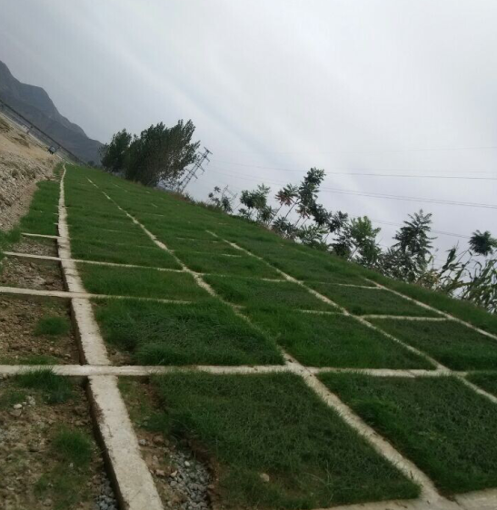 陜西商洛生態(tài)混凝土